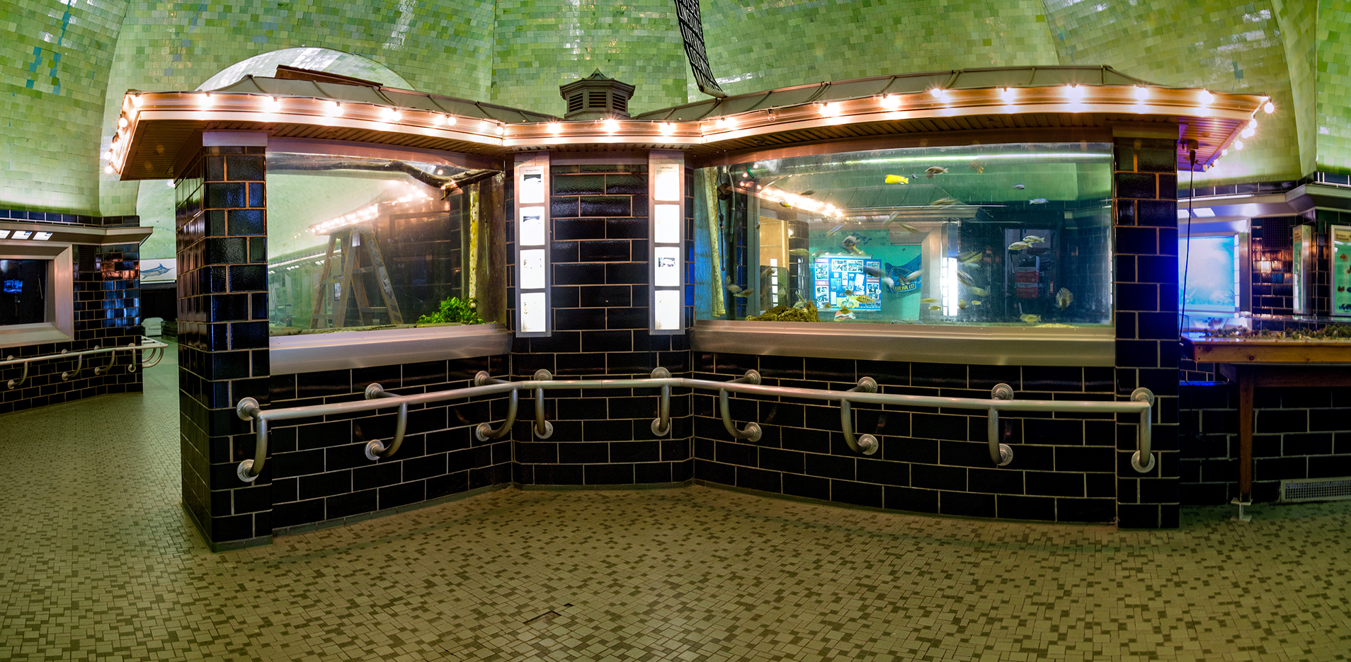 Belle Isle Aquarium City Photos